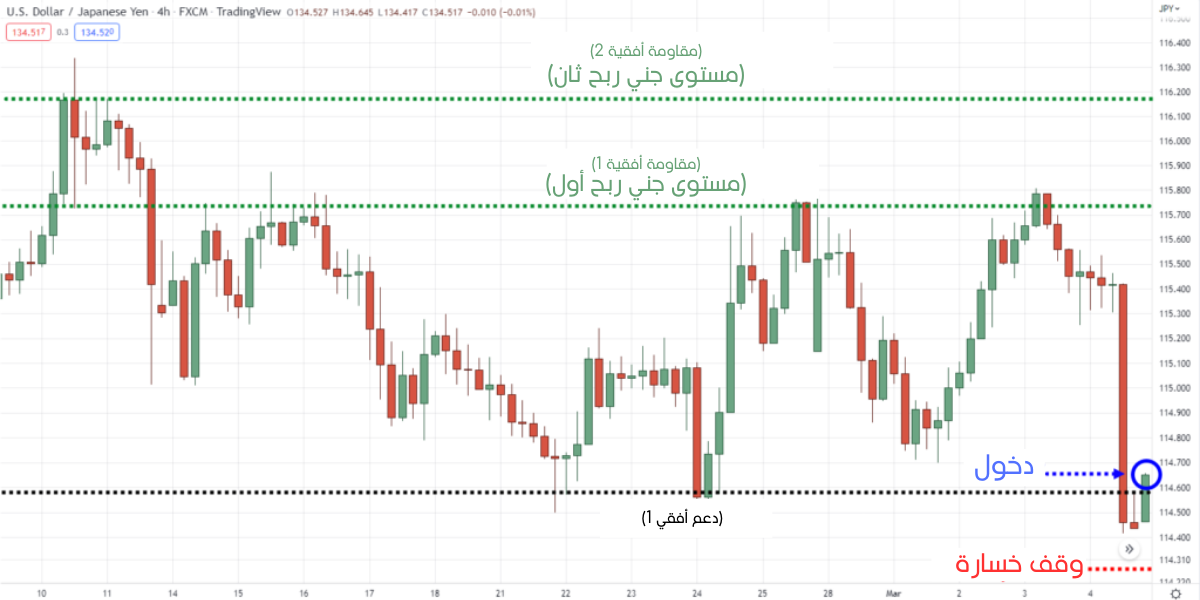 مستويات الدعم والمقاومة