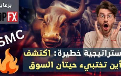 فيديو: استراتيجية تداول خطيرة – اكتشف أين يختبيء صناع السوق