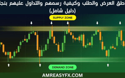 مناطق العرض والطلب وكيفية رسمهم والتداول عليهم بنجاح(دليل شامل)