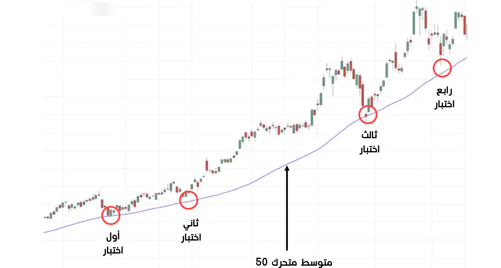  السعر يحترم متوسط متحرك 50