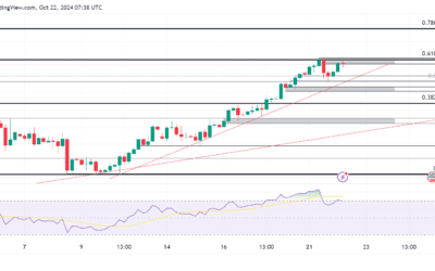 سعر الذهب اليوم يرتفع مدعومًا بعدم اليقين السياسي في أمريكا وتوترات الشرق الأوسط